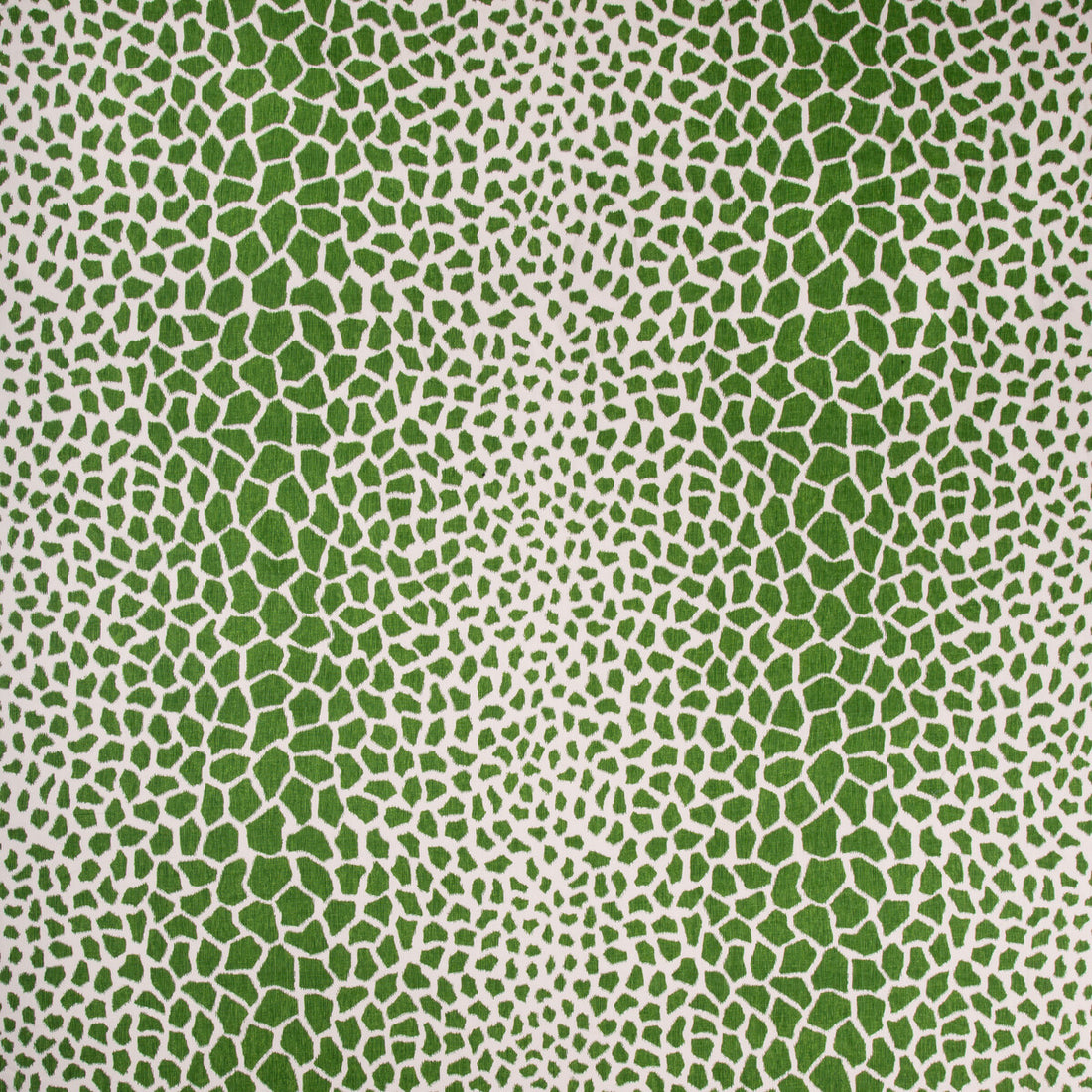 Jiraffa fabric in fern color - pattern 8018123.53.0 - by Brunschwig &amp; Fils in the Baret collection