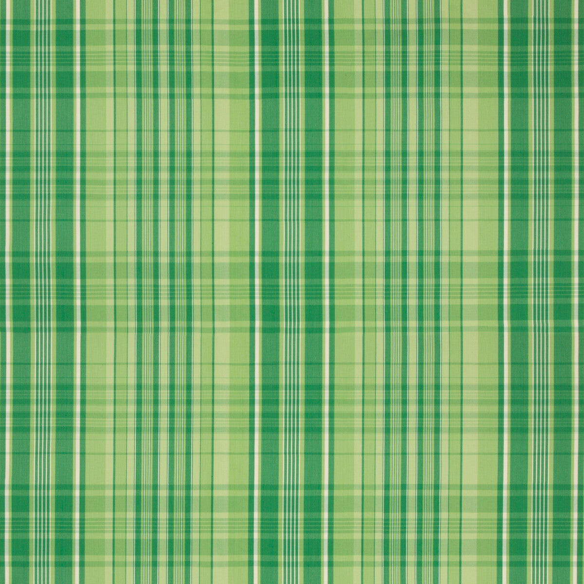 Guernsey Check fabric in kiwi color - pattern 8019101.3.0 - by Brunschwig & Fils in the Normant Checks And Stripes collection