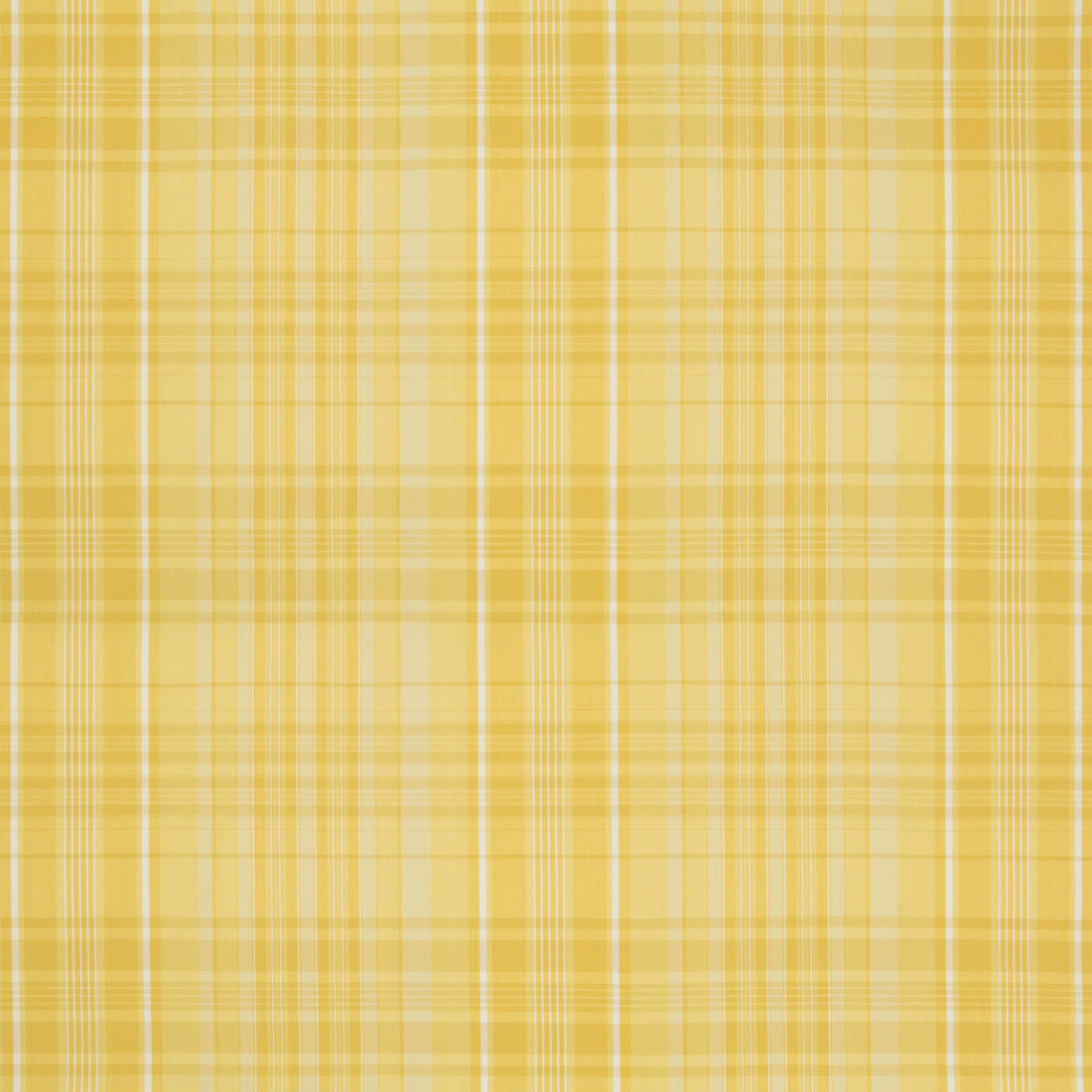 Guernsey Check fabric in yellow color - pattern 8019101.40.0 - by Brunschwig &amp; Fils in the Normant Checks And Stripes collection
