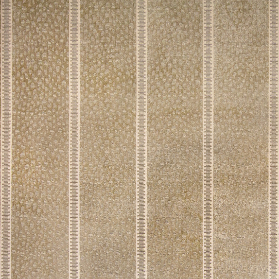 Salvator Velvet fabric in beige color - pattern 8019108.16.0 - by Brunschwig &amp; Fils in the Folio Francais collection