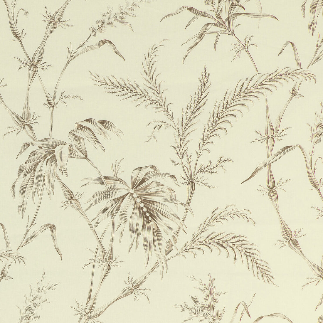 Lauziere Print fabric in taupe color - pattern 8020124.106.0 - by Brunschwig &amp; Fils in the Louverne collection