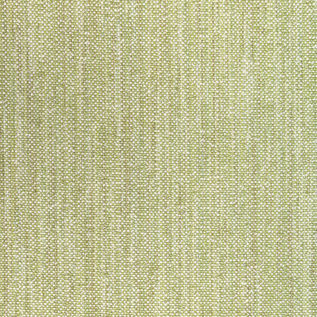 Rospico Plain fabric in leaf color - pattern 8022110.3.0 - by Brunschwig &amp; Fils in the Lorient Weaves collection