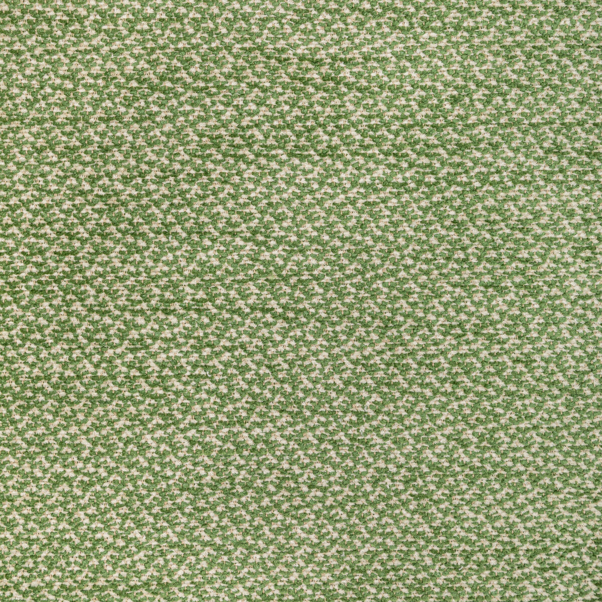 Sasson Texture fabric in green color - pattern 8022122.3.0 - by Brunschwig & Fils in the Chambery Textures III collection