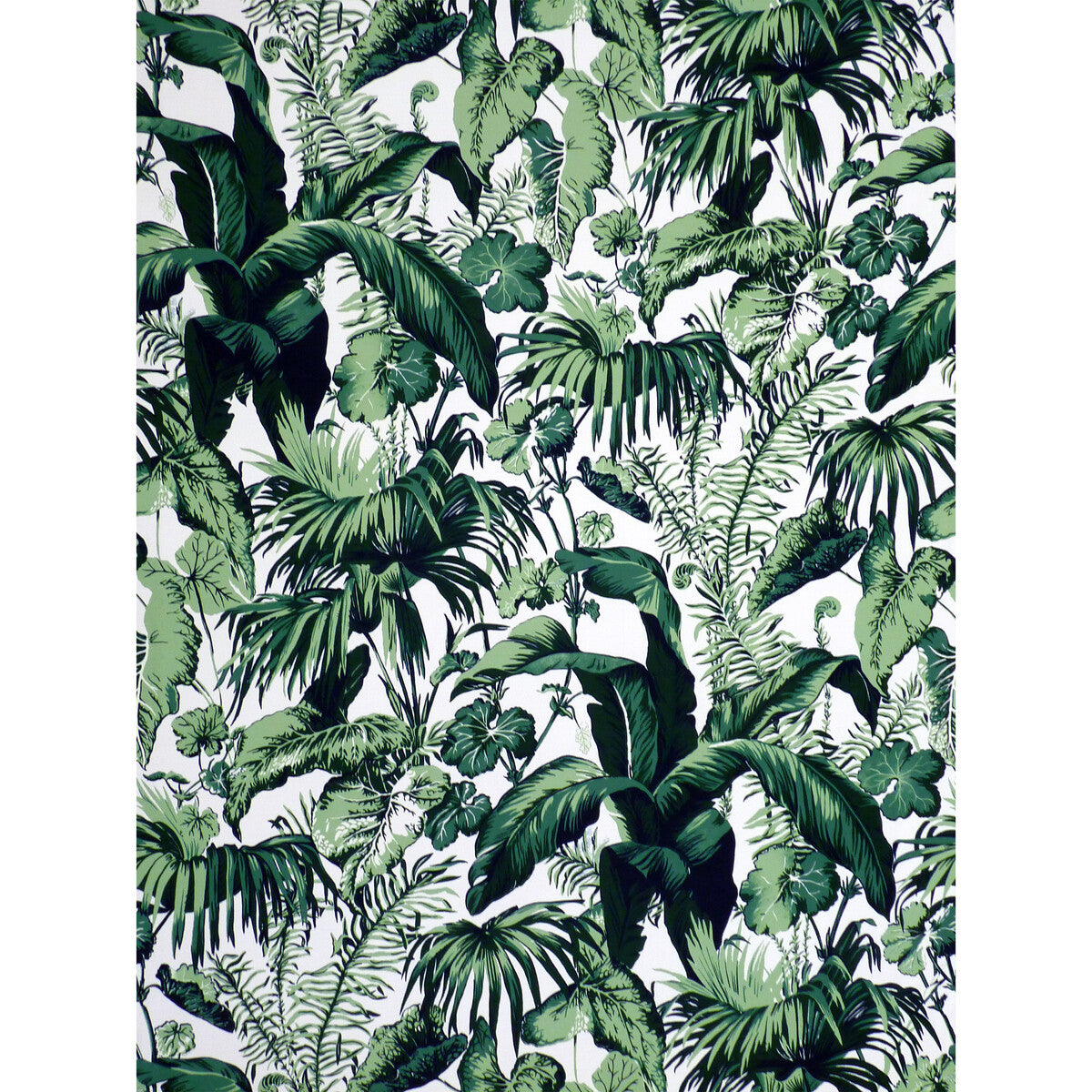 Feuillage II fabric in blanc color - pattern 8023124.31.0 - by Brunschwig & Fils in the Madeleine Castaing Indoor/Outdoor collection