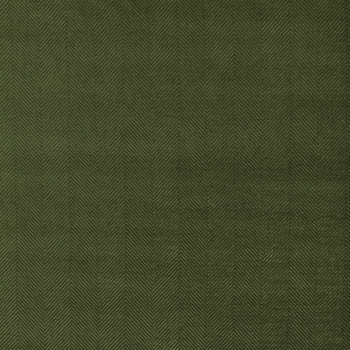 Rhone Weave fabric in leaf color - pattern 8023133.3.0 - by Brunschwig & Fils in the Arles Weaves collection