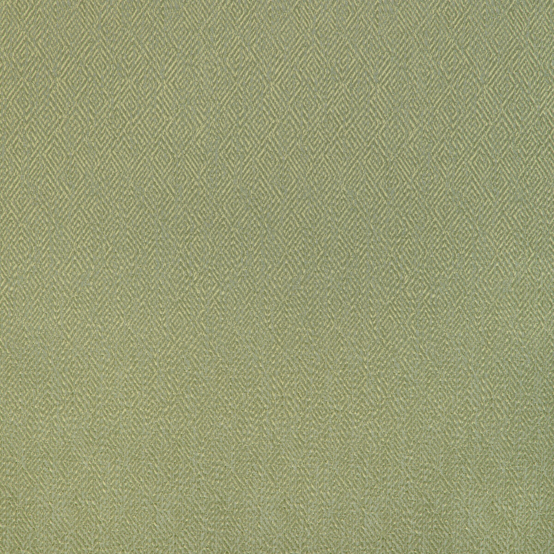 Pipet Texture fabric in leaf color - pattern 8023152.3.0 - by Brunschwig &amp; Fils in the Vienne Silks collection