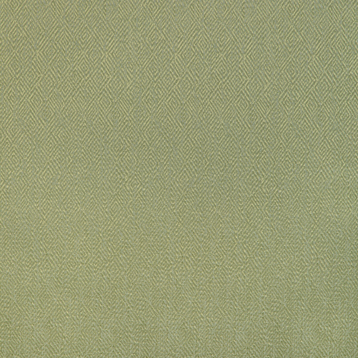 Pipet Texture fabric in leaf color - pattern 8023152.3.0 - by Brunschwig & Fils in the Vienne Silks collection