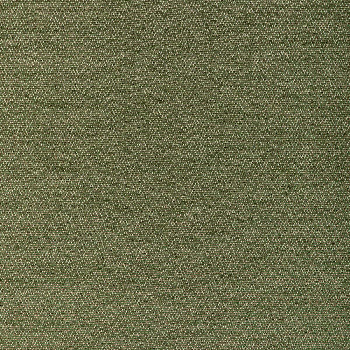 Beauvoir Texture fabric in leaf color - pattern 8023153.3.0 - by Brunschwig & Fils in the Chambery Textures IV collection