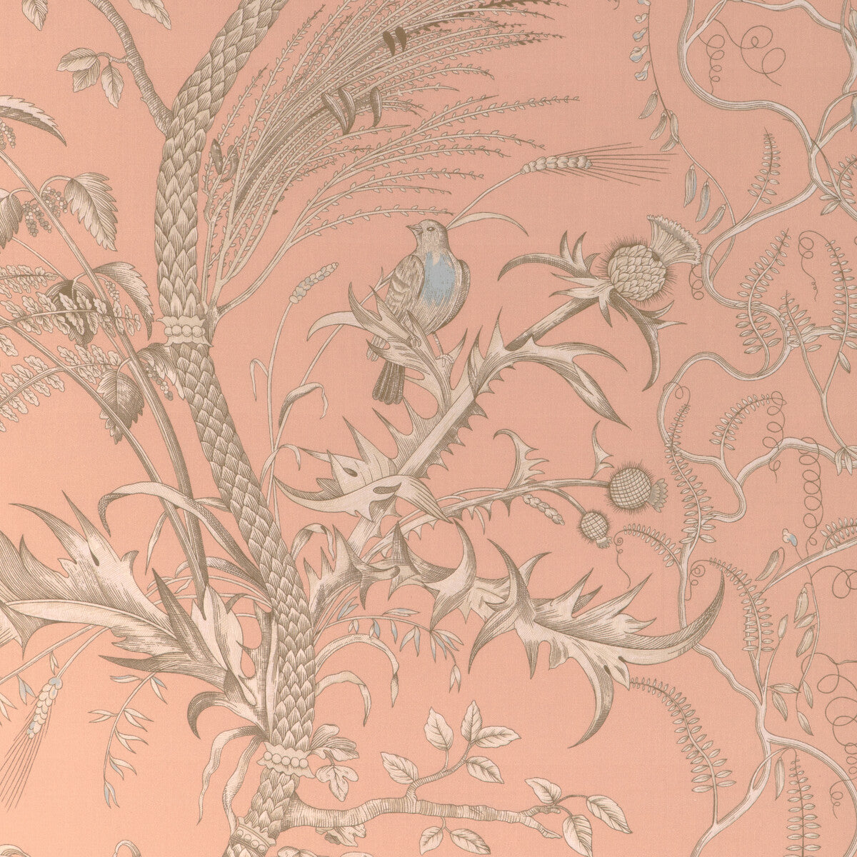 Bird And Thistle II fabric in peach color - pattern 8024101.1216.0 - by Brunschwig & Fils in the La Menagerie collection
