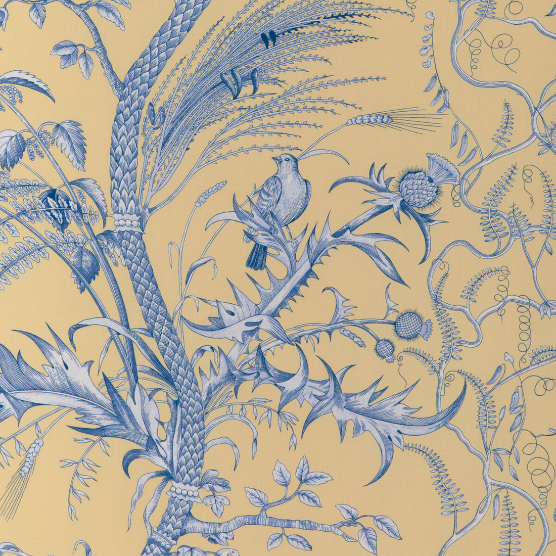 Bird And Thistle II fabric in sun color - pattern 8024101.415.0 - by Brunschwig &amp; Fils in the La Menagerie collection