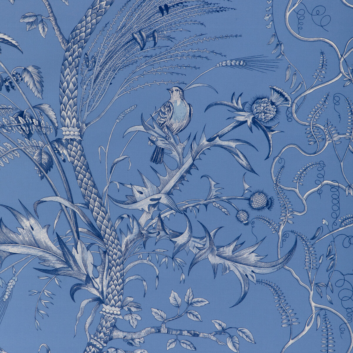 Bird And Thistle II fabric in blue color - pattern 8024101.55.0 - by Brunschwig & Fils in the La Menagerie collection
