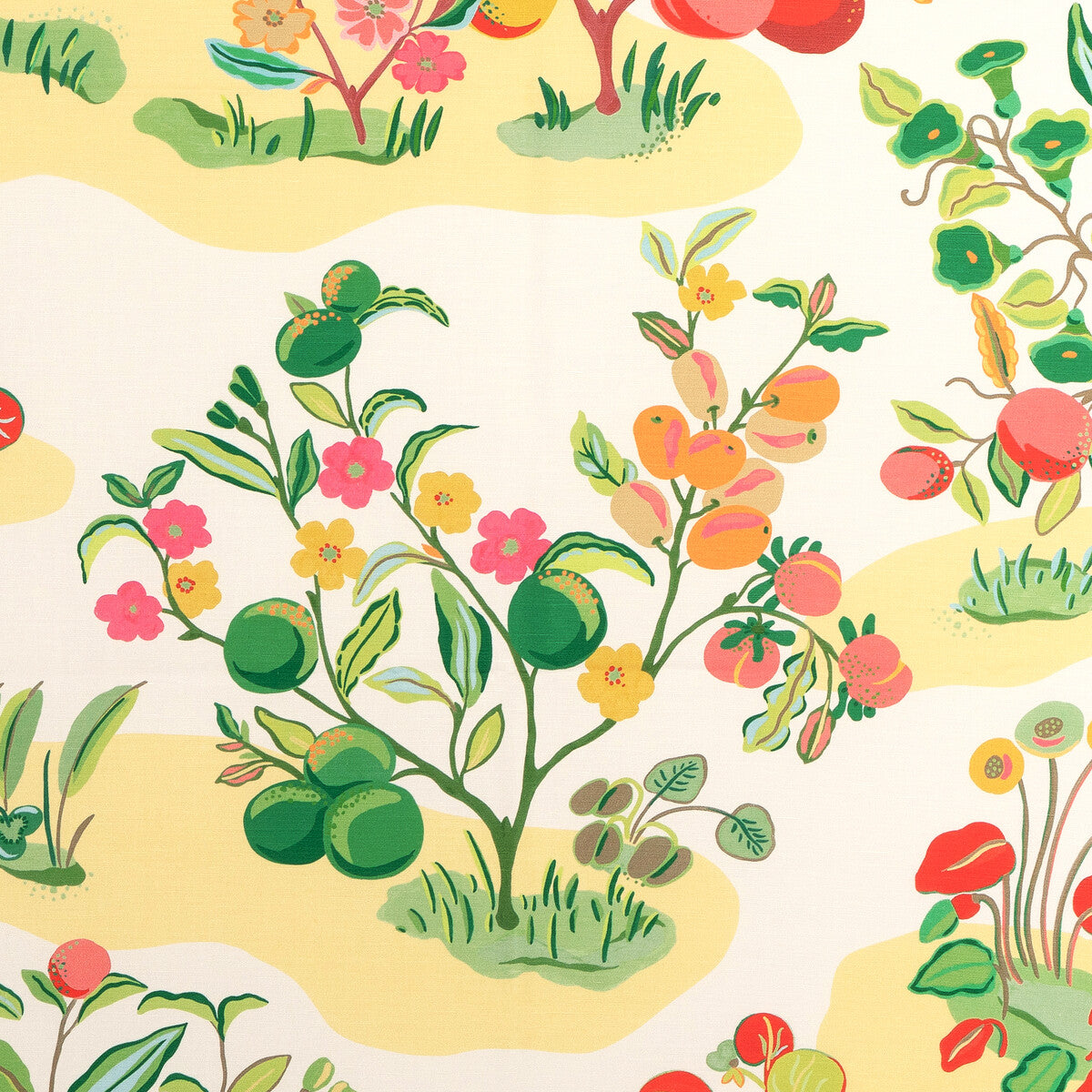 Pomelo Print fabric in spring color - pattern number 8024121.73.0 - by Brunschwig & Fils in the Carlsten collection