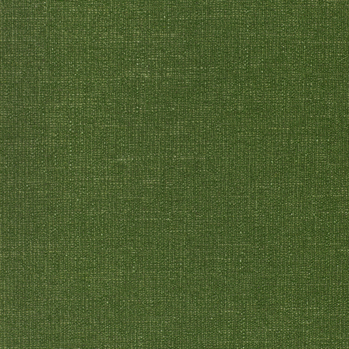 Galet Plain fabric in leaf color - pattern number 8024139.33.0 - by Brunschwig & Fils in the Landelle Weaves collection