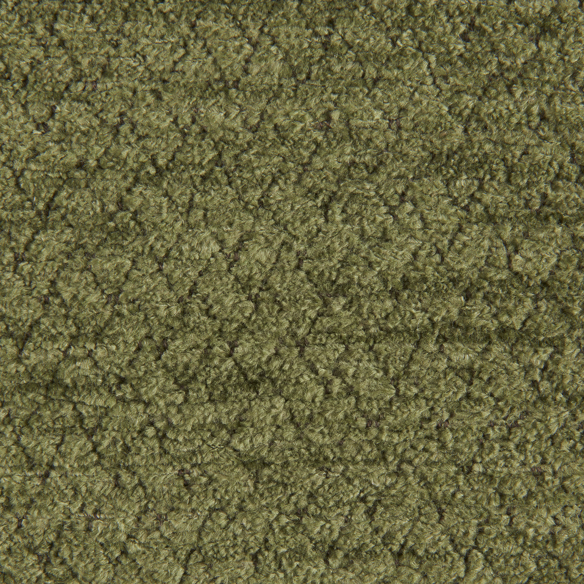 Trevoux Texture fabric in Leaf color - pattern number 8026112.33.0 - by Brunschwig & Fils in the Chambery Textures V collection