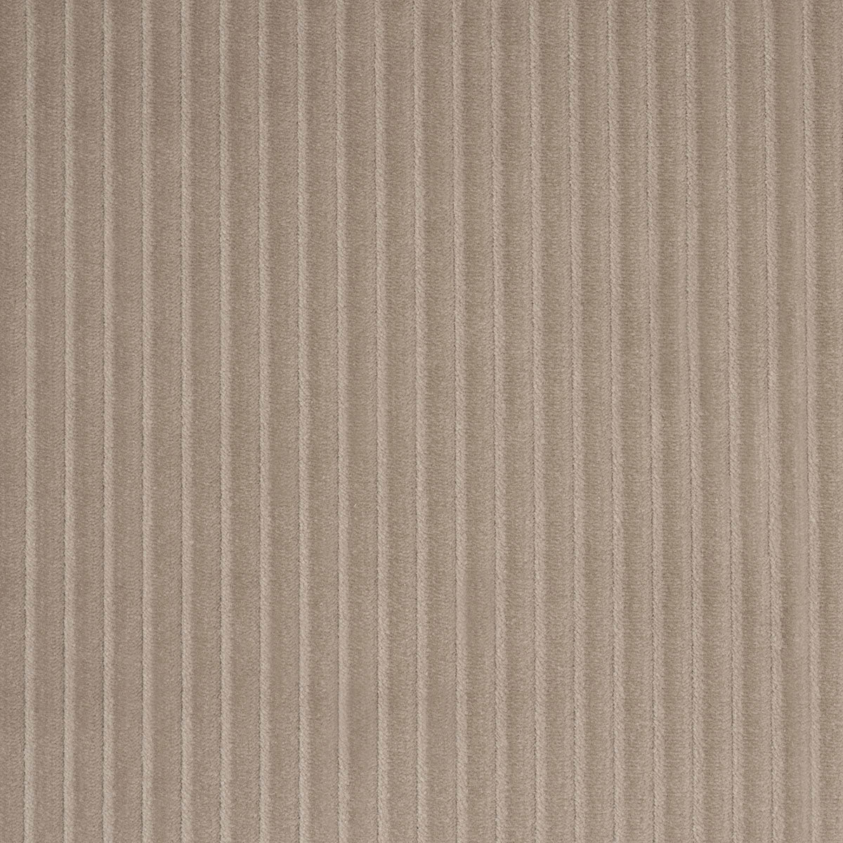 Wyatt Corduroy fabric in sandstone color - pattern number 80459 - by Schumacher in the Atelier Paris collection