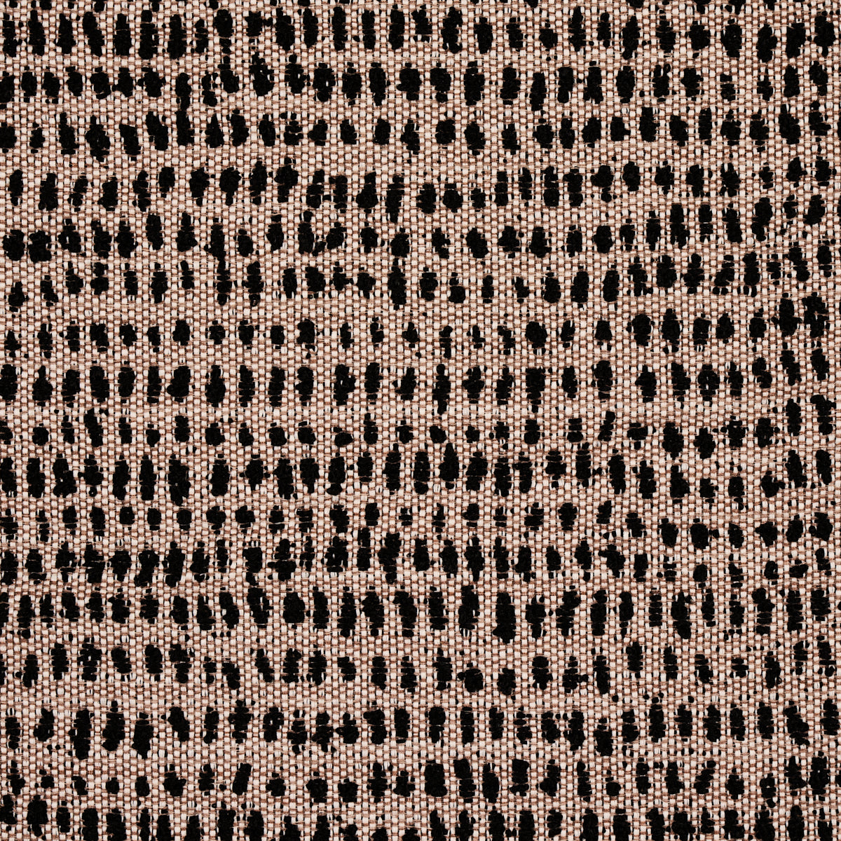Oscar Indoor Outdoor fabric in noir color - pattern number 81091 - by Schumacher in the Indoor/Outdoor collection