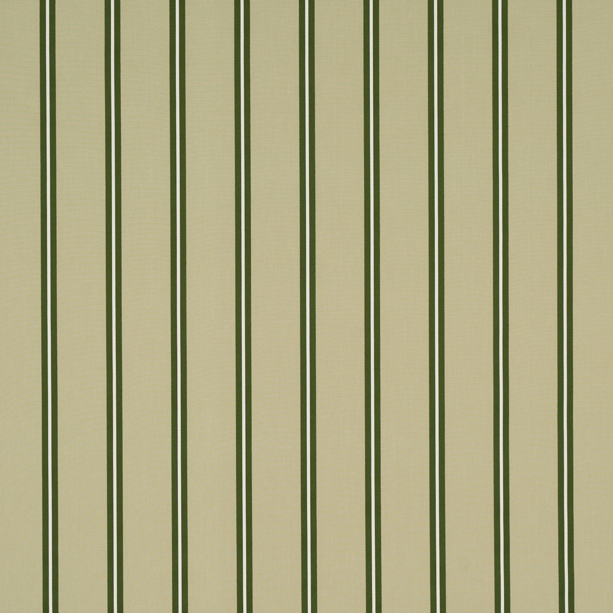 Briony Stripe fabric in leaf color - pattern number 85622 - by Schumacher in the New Traditional collection