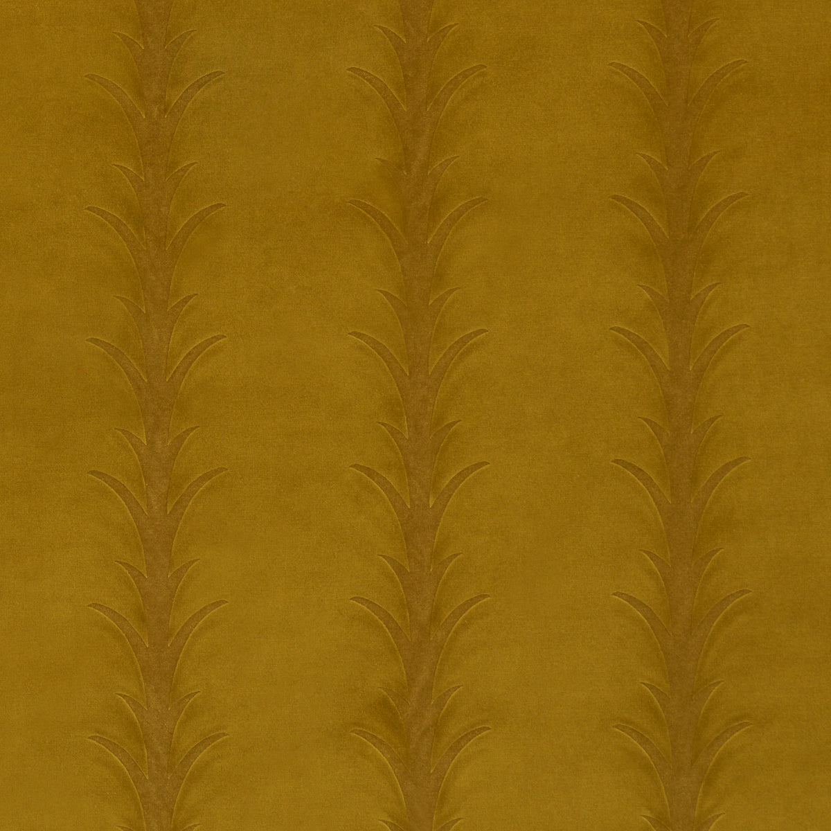 Acanthus Stripe Velvet fabric in olive color - pattern number 86451 - by Schumacher in the Atelier Paris collection