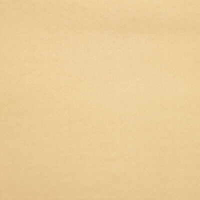 Sensuede fabric in beach color - pattern 960203.1160.0 - by Lee Jofa