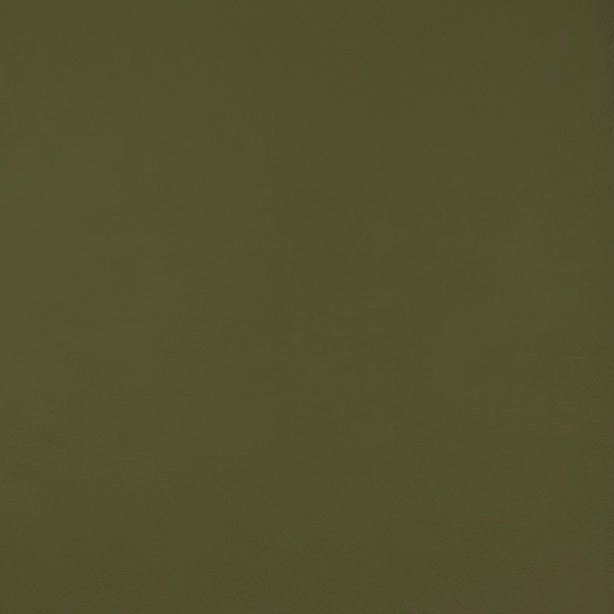 Arcadia fabric in aloe color - pattern number 09446 - by Europatex in the Arcadia collection