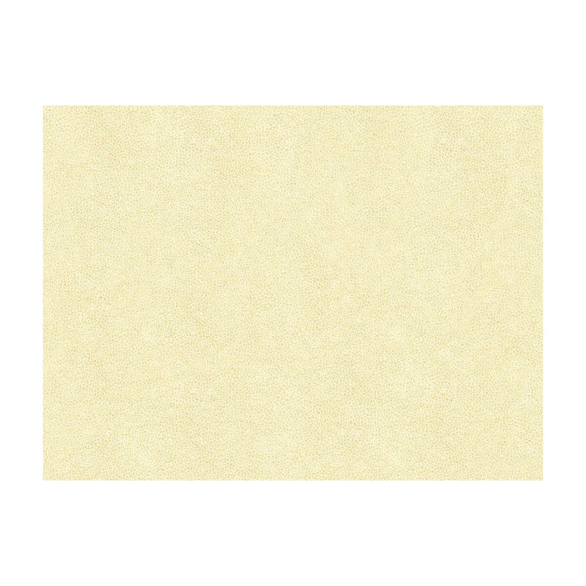 Abilene fabric in fossil color - pattern ABILENE.1.0 - by Kravet Contract