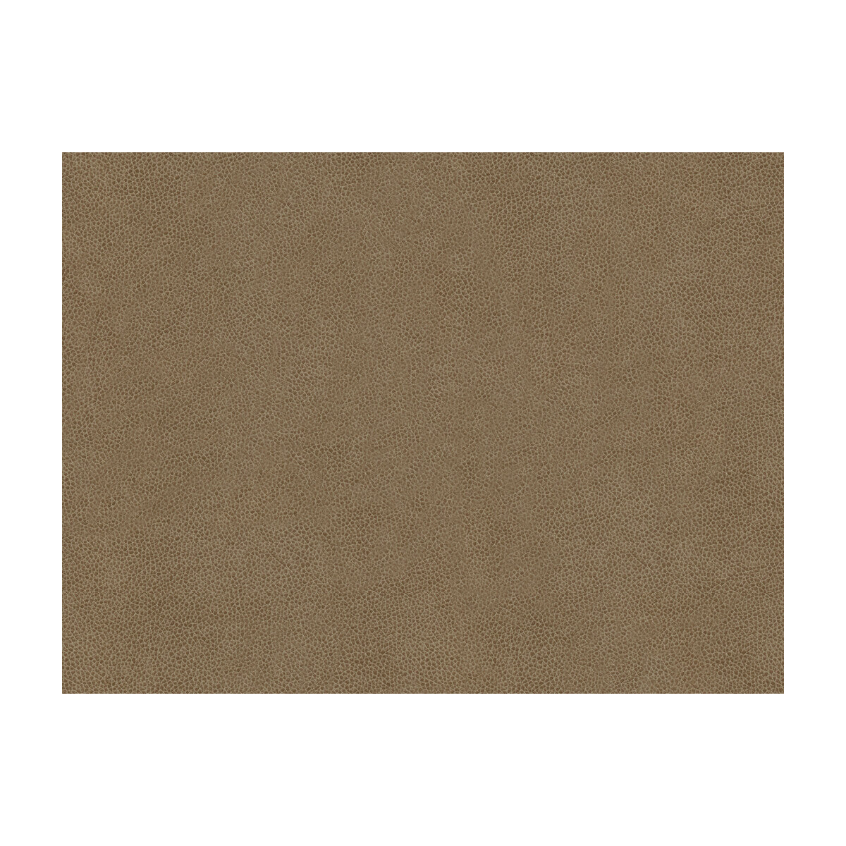 Abilene fabric in stone color - pattern ABILENE.11.0 - by Kravet Contract