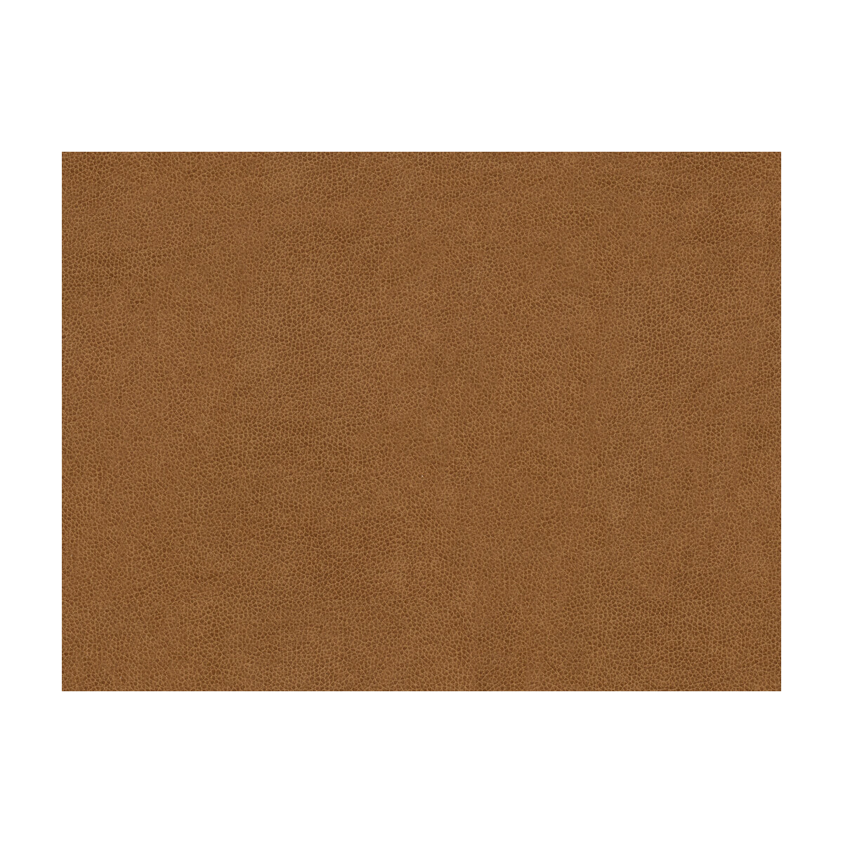 Abilene fabric in biscuit color - pattern ABILENE.1616.0 - by Kravet Contract