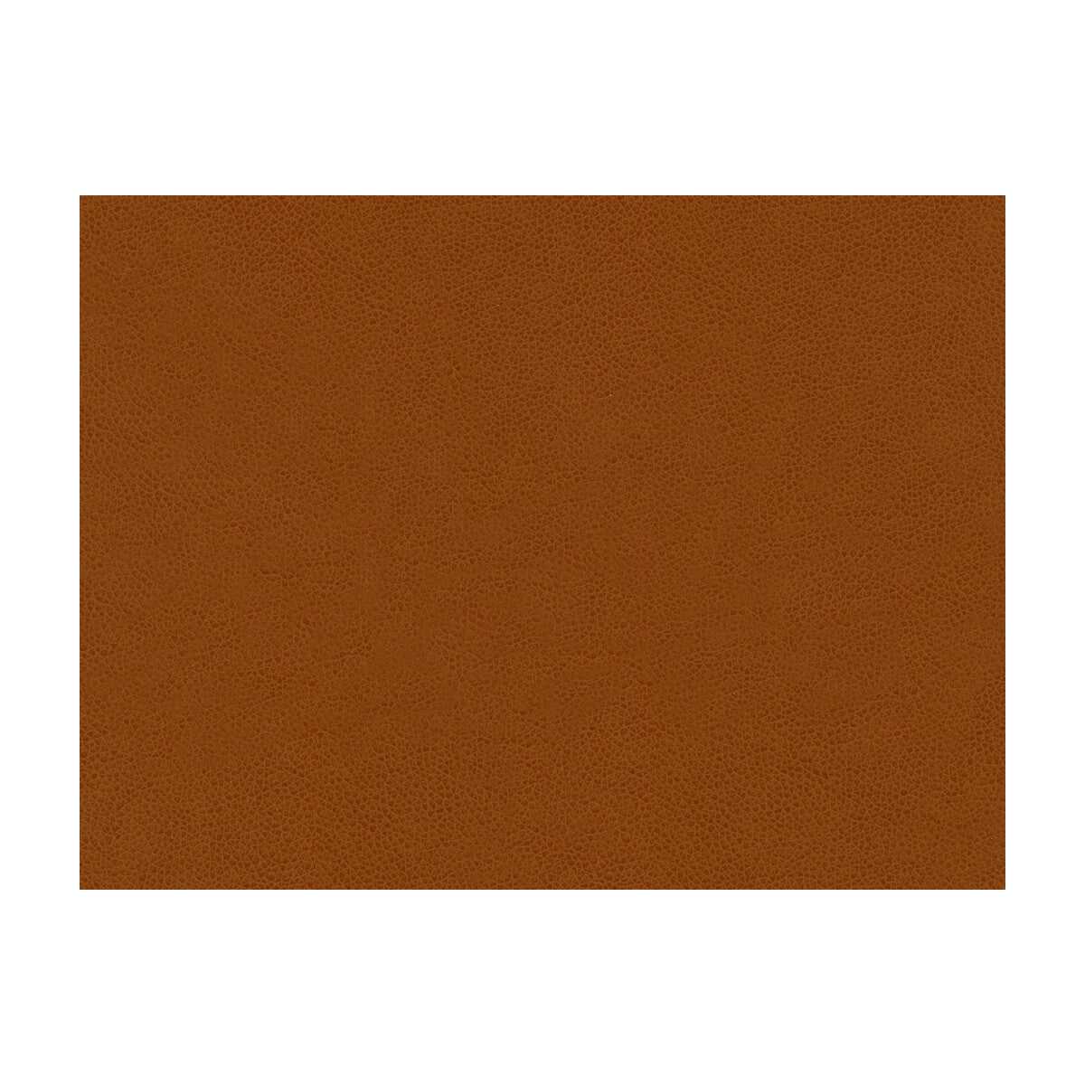 Abilene fabric in penny color - pattern ABILENE.24.0 - by Kravet Contract