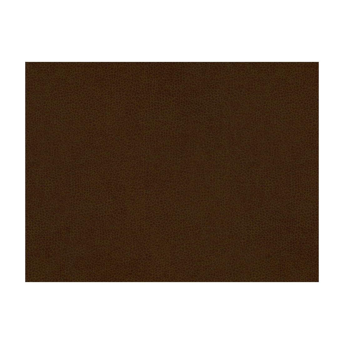 Abilene fabric in cocoa color - pattern ABILENE.6.0 - by Kravet Contract
