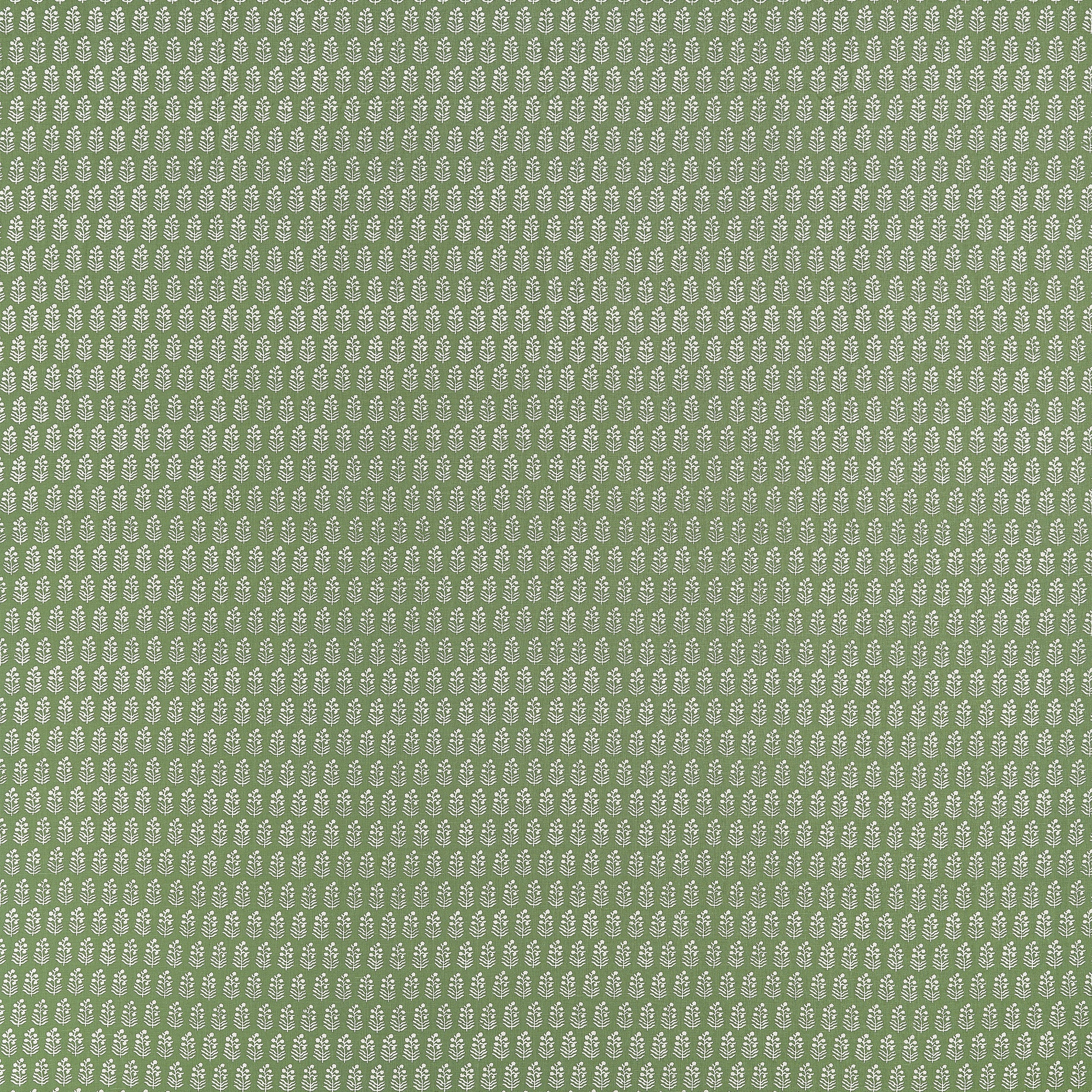 Chloe fabric in green color - pattern number AF10748 - by Anna French in the Clermont collection