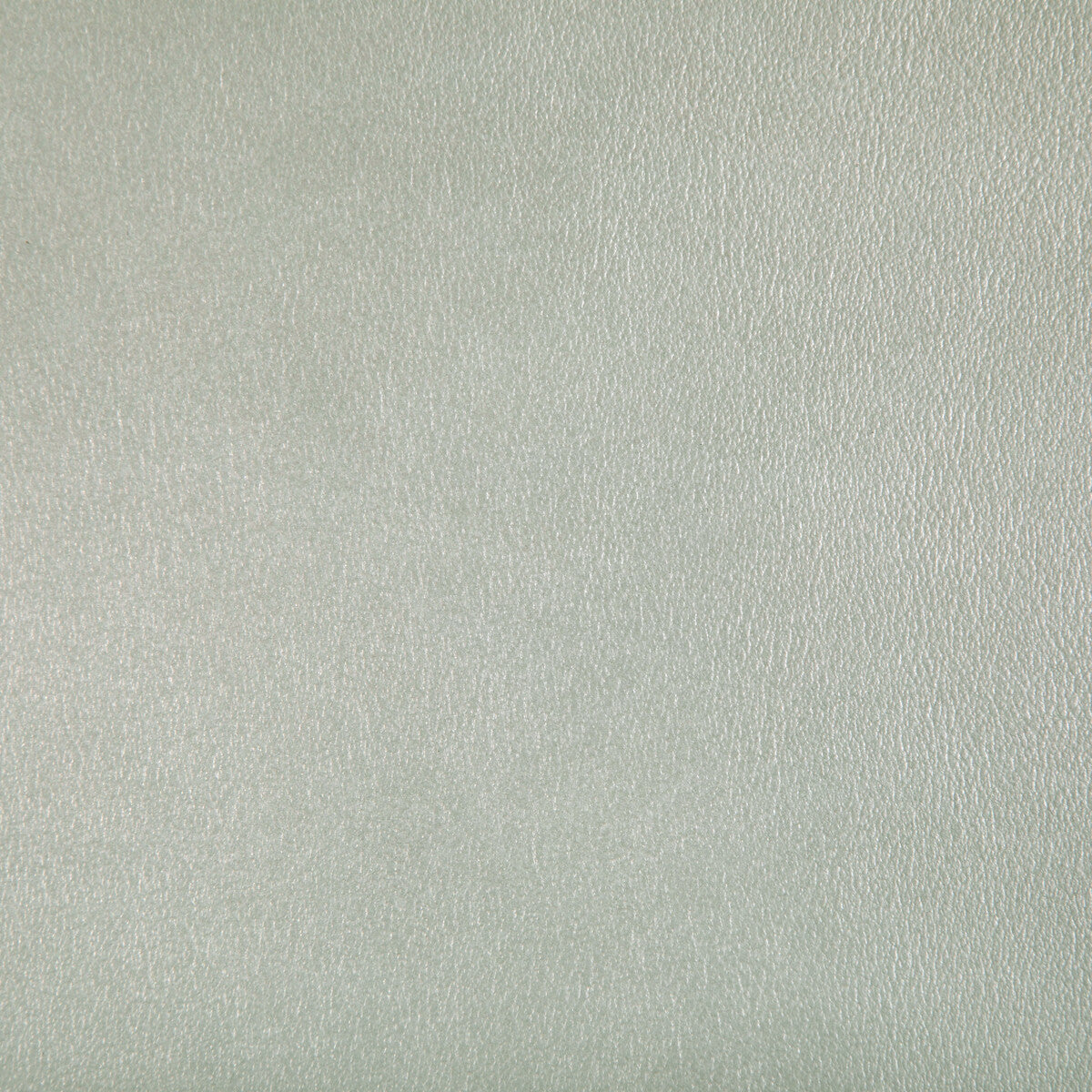 Agatha fabric in pearl color - pattern AGATHA.1.0 - by Kravet Contract
