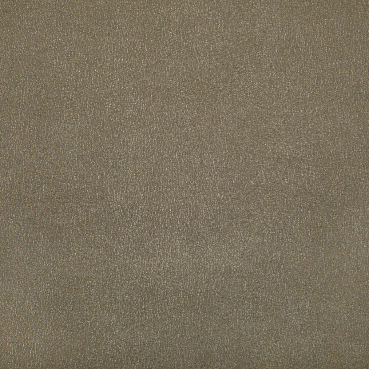 Agatha fabric in antique color - pattern AGATHA.106.0 - by Kravet Contract