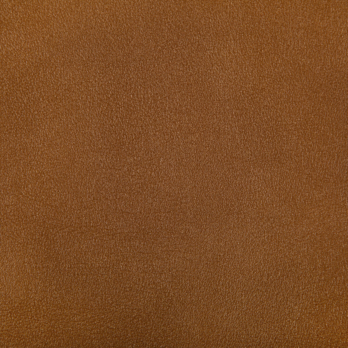 Agatha fabric in squash color - pattern AGATHA.12.0 - by Kravet Contract