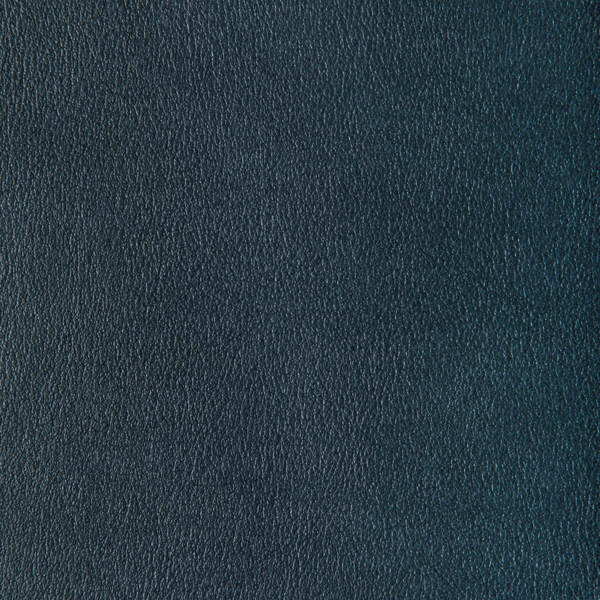 Agatha fabric in mercury color - pattern AGATHA.15.0 - by Kravet Contract