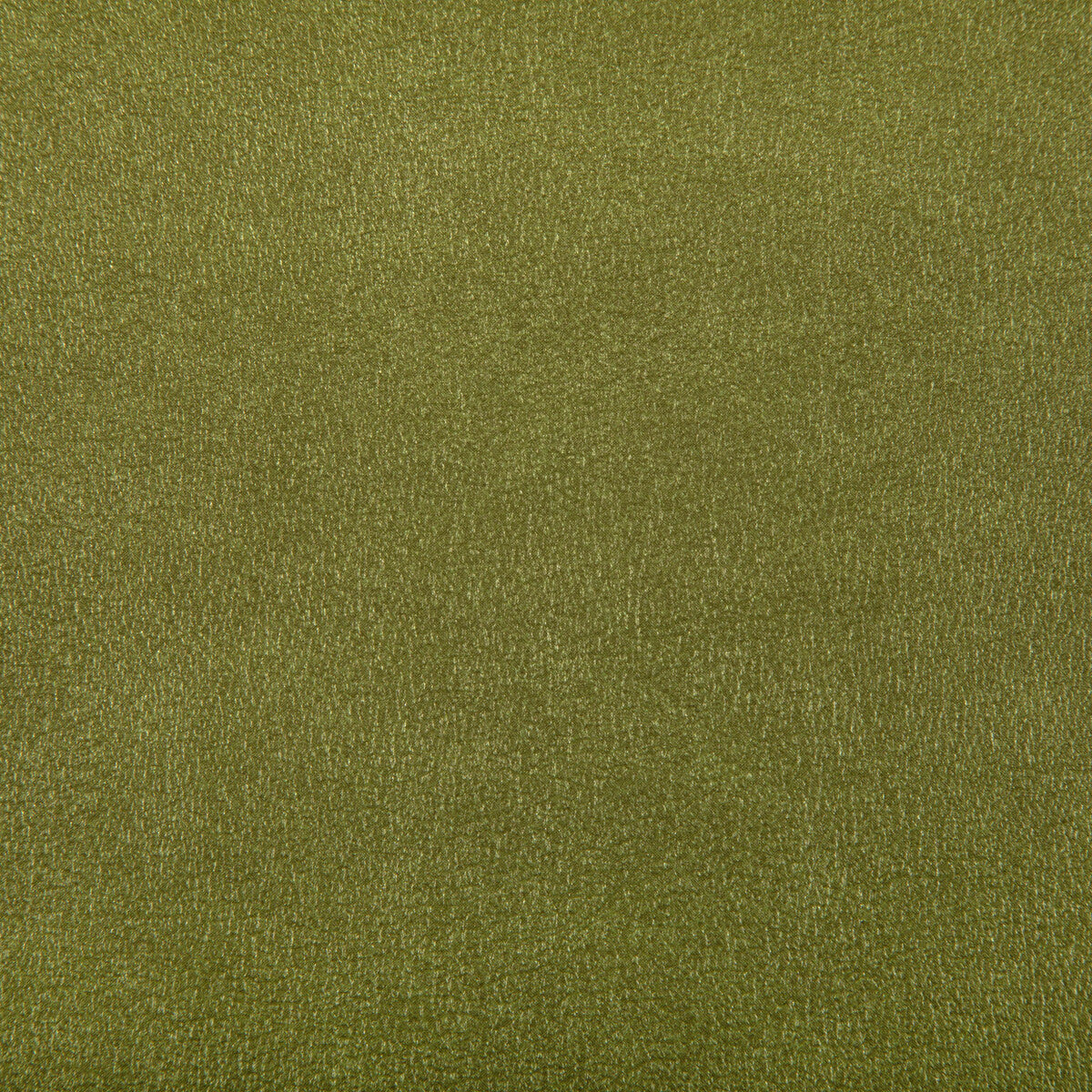 Agatha fabric in cactus color - pattern AGATHA.23.0 - by Kravet Contract