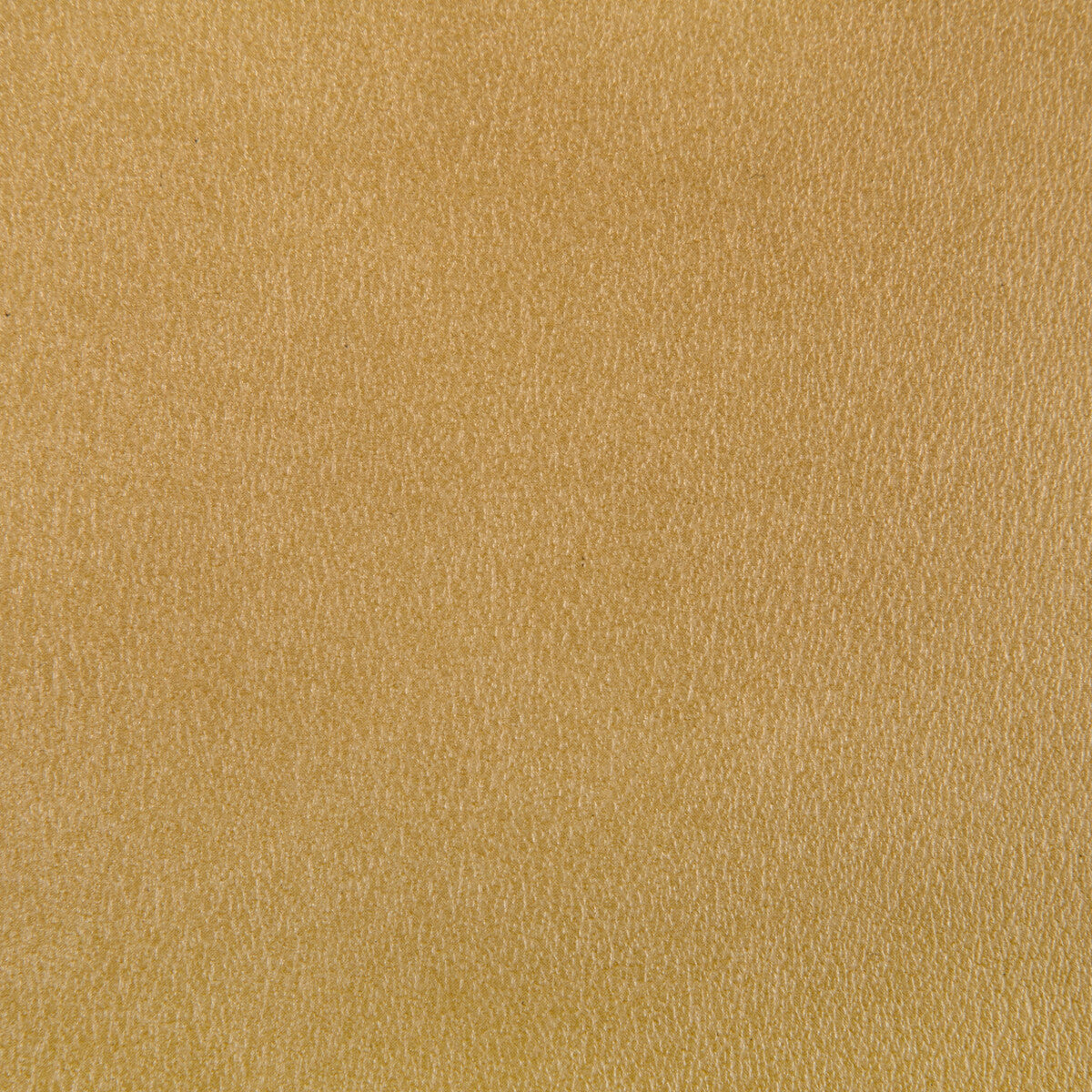 Agatha fabric in gilt color - pattern AGATHA.40.0 - by Kravet Contract