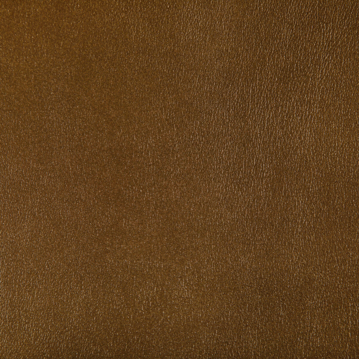 Agatha fabric in inca color - pattern AGATHA.404.0 - by Kravet Contract