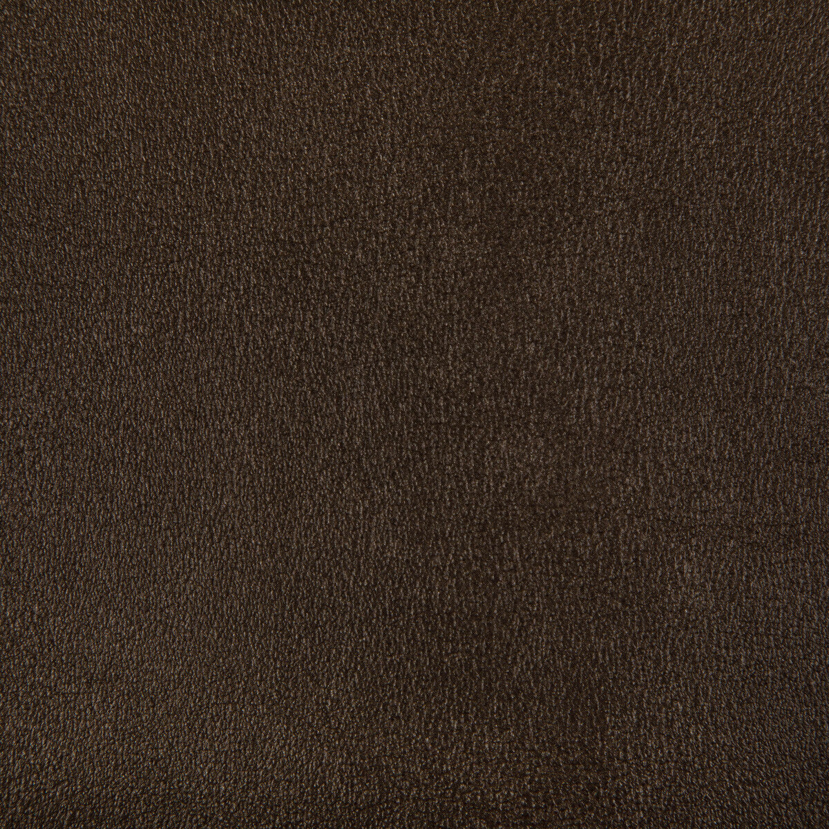 Agatha fabric in bronze color - pattern AGATHA.624.0 - by Kravet Contract