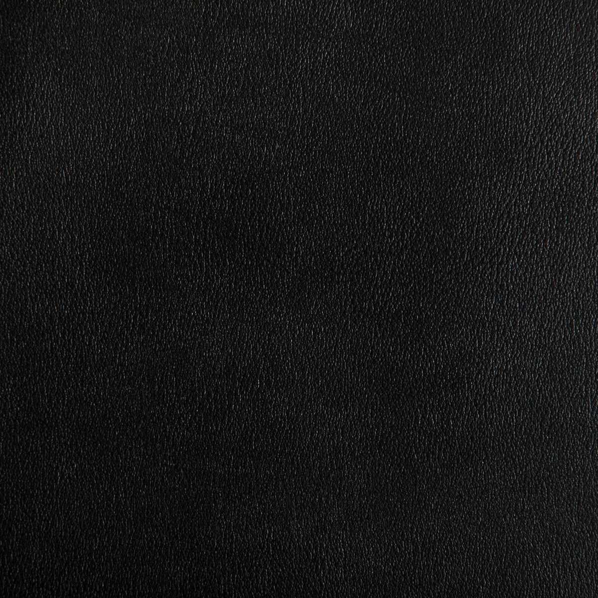 Agatha fabric in iron color - pattern AGATHA.811.0 - by Kravet Contract