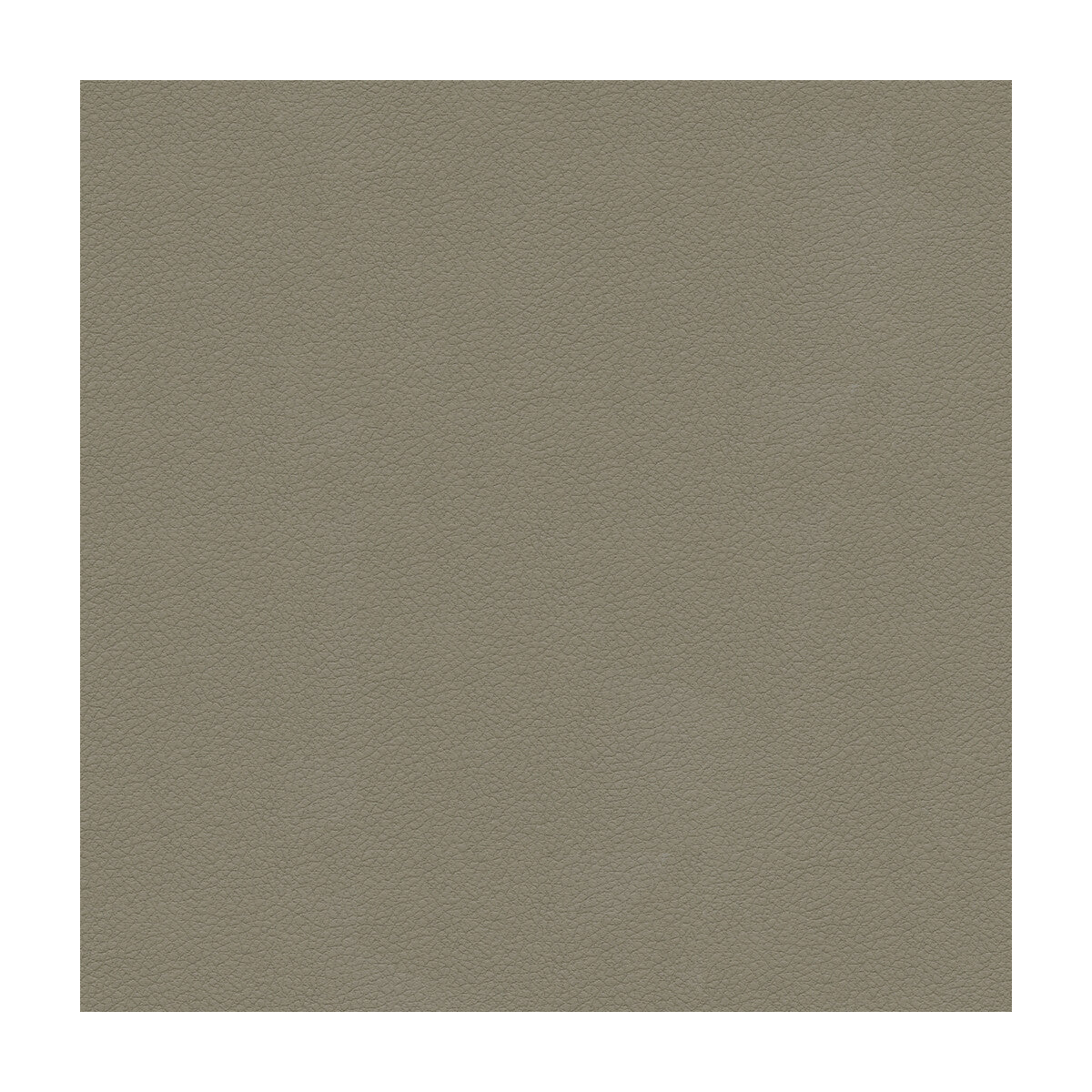 Kravet Design fabric in ali-11 color - pattern ALI.11.0 - by Kravet Design in the Ultraleather Plus IV collection