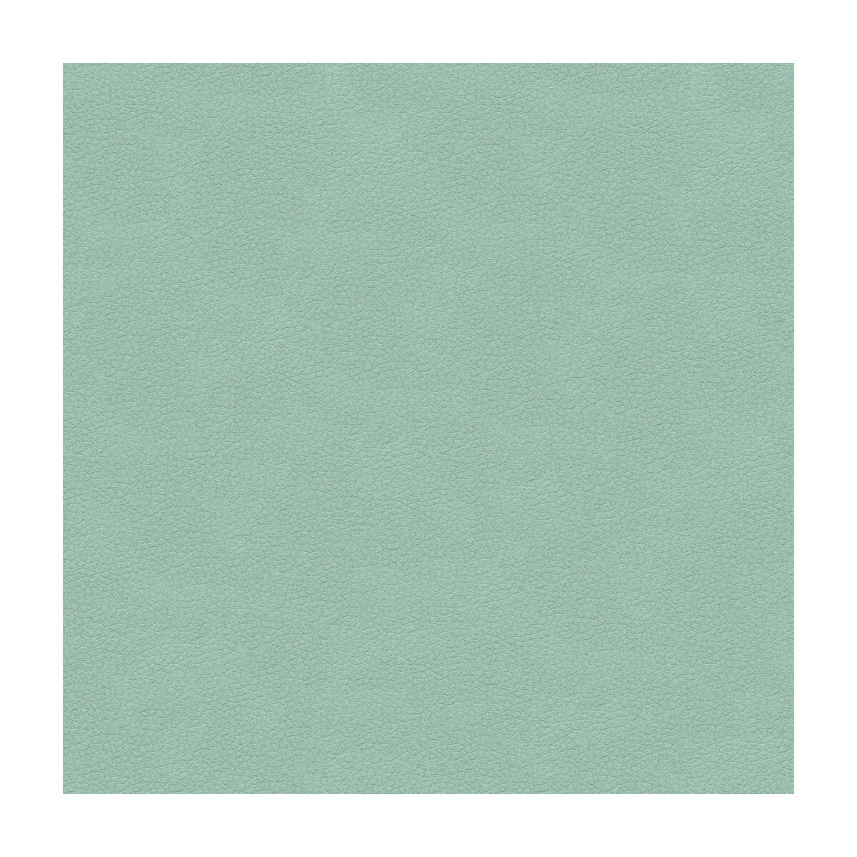 Kravet Design fabric in ali-15 color - pattern ALI.15.0 - by Kravet Design in the Ultraleather Plus IV collection