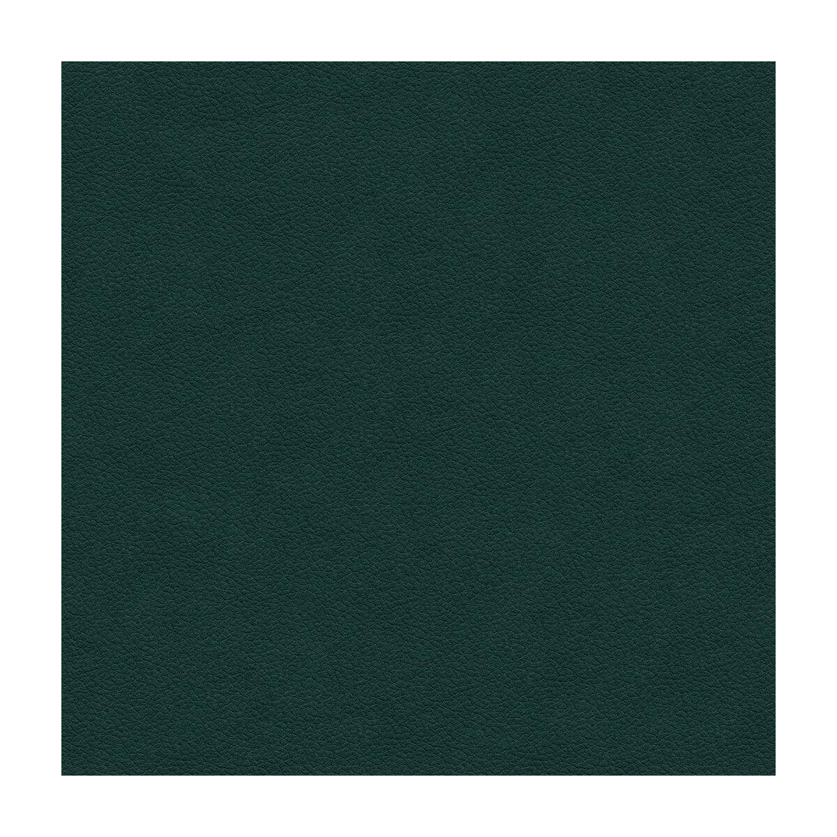 Kravet Design fabric in ali-53 color - pattern ALI.53.0 - by Kravet Design in the Ultraleather Plus IV collection