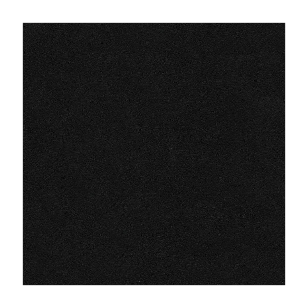 Kravet Design fabric in ali-8 color - pattern ALI.8.0 - by Kravet Design in the Ultraleather Plus IV collection