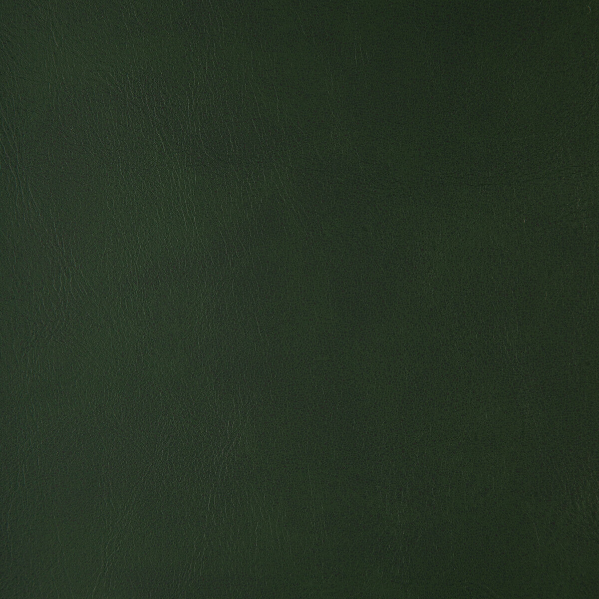 Alum fabric in alum-33 color - pattern number ALUM.33.0 - by Kravet Design in the Faux Leather IV collection