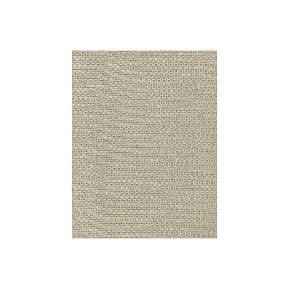 Ricci fabric in natural color - pattern AM100028.16.0 - by Kravet Couture in the Andrew Martin Anthem collection