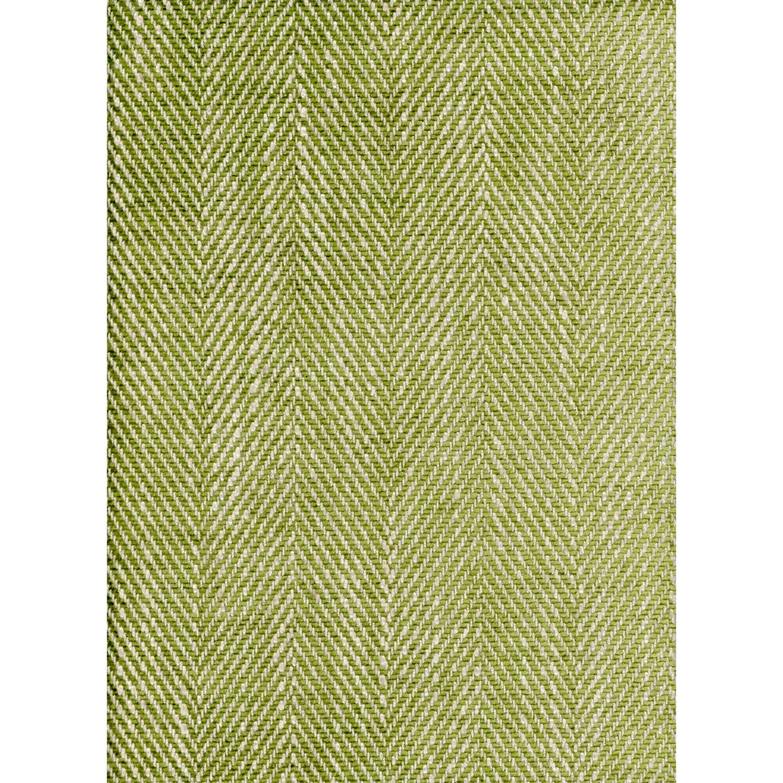 Summit fabric in palm color - pattern AM100147.3.0 - by Kravet Couture in the Andrew Martin Portofino collection