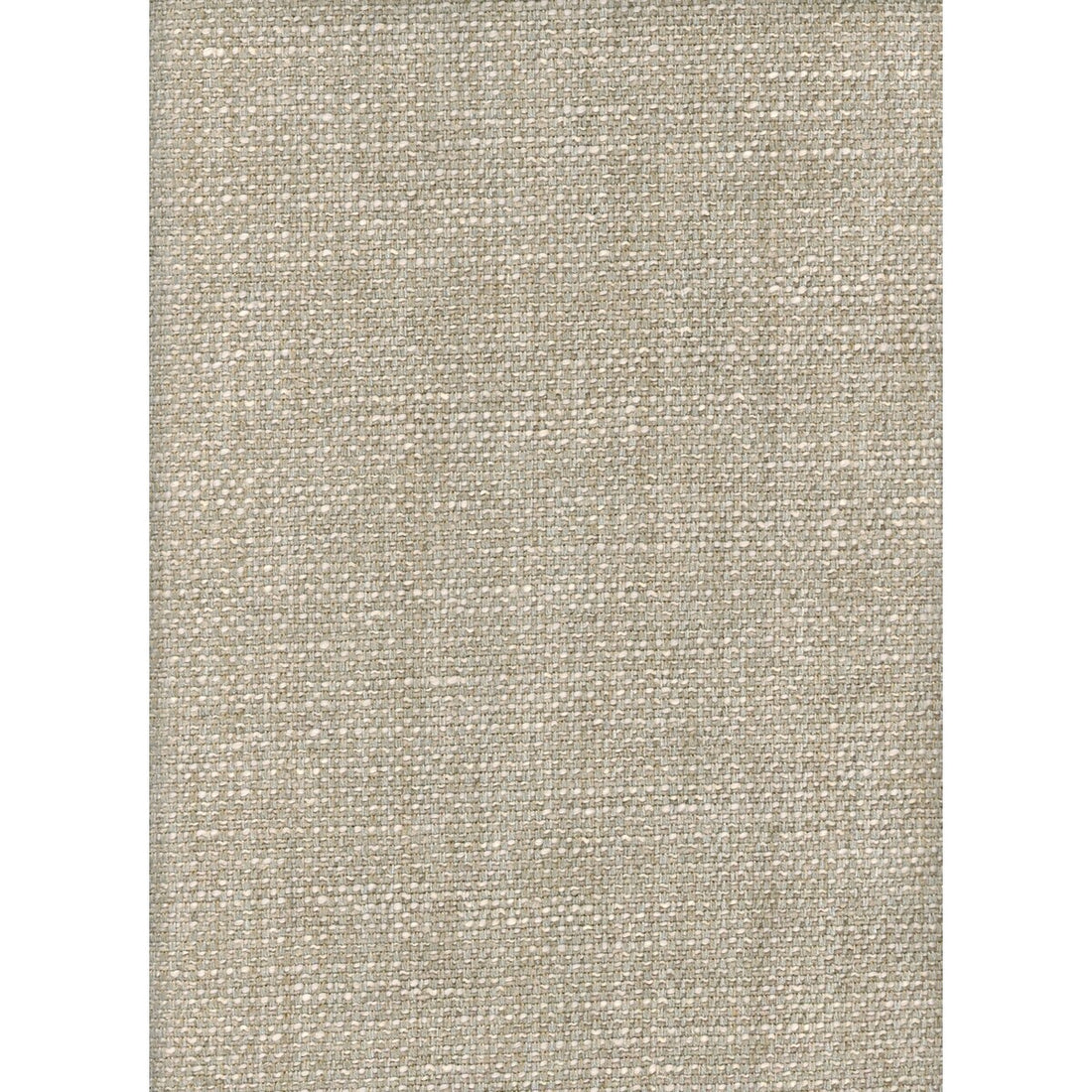 Paraggi fabric in linen color - pattern AM100299.11.0 - by Kravet Couture in the Andrew Martin Portofino collection