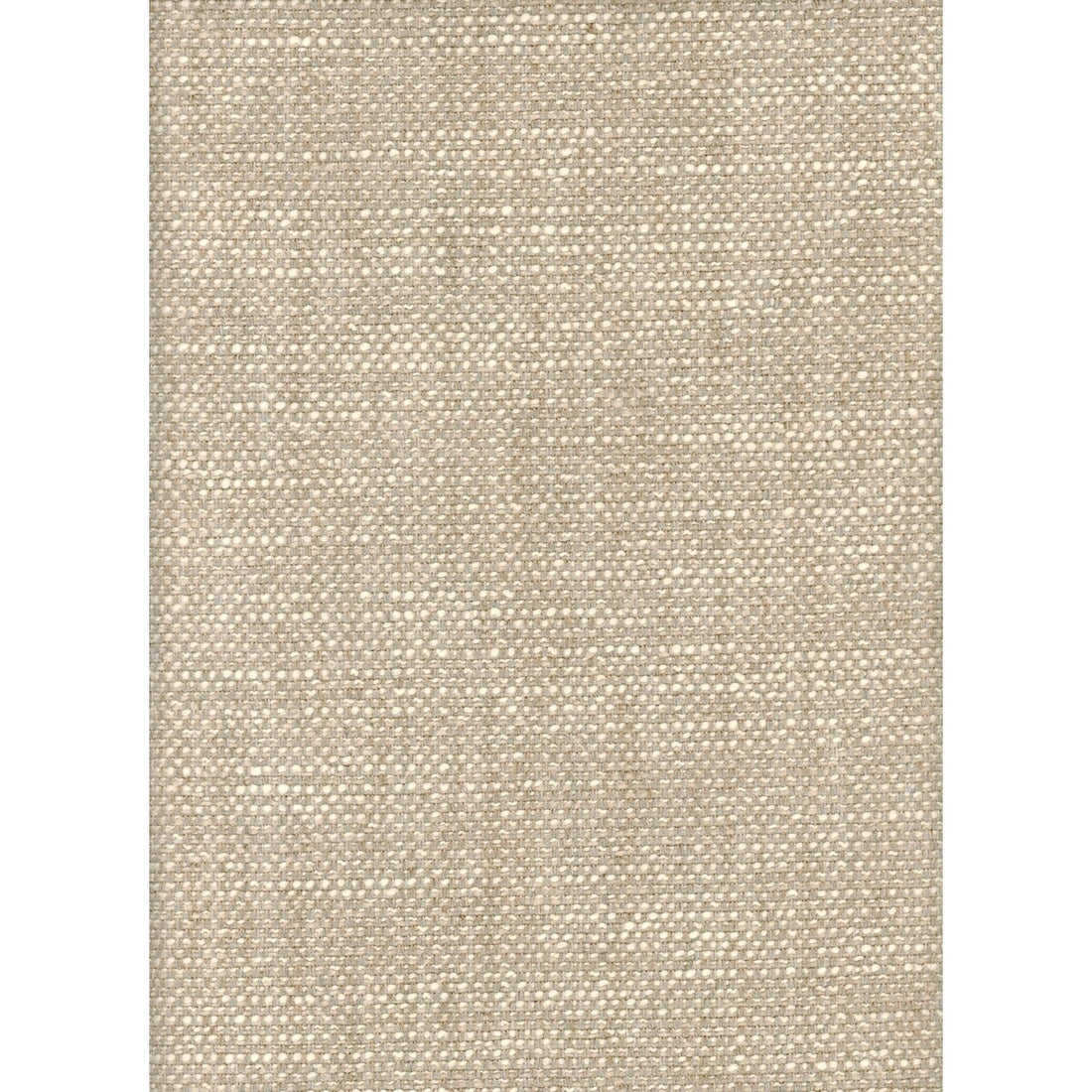 Paraggi fabric in oat color - pattern AM100299.1611.0 - by Kravet Couture in the Andrew Martin Portofino collection