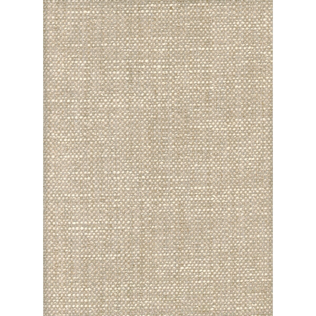 Paraggi fabric in oat color - pattern AM100299.1611.0 - by Kravet Couture in the Andrew Martin Portofino collection