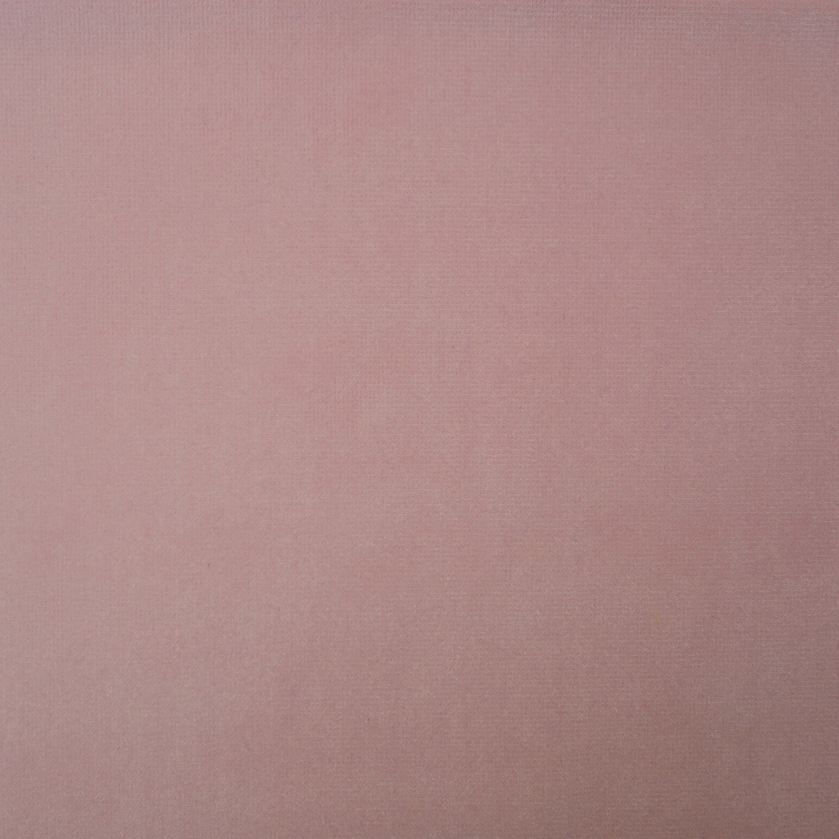 Villandry fabric in rose color - pattern AM100325.117.0 - by Kravet Couture in the Andrew Martin Villandry Velvet collection